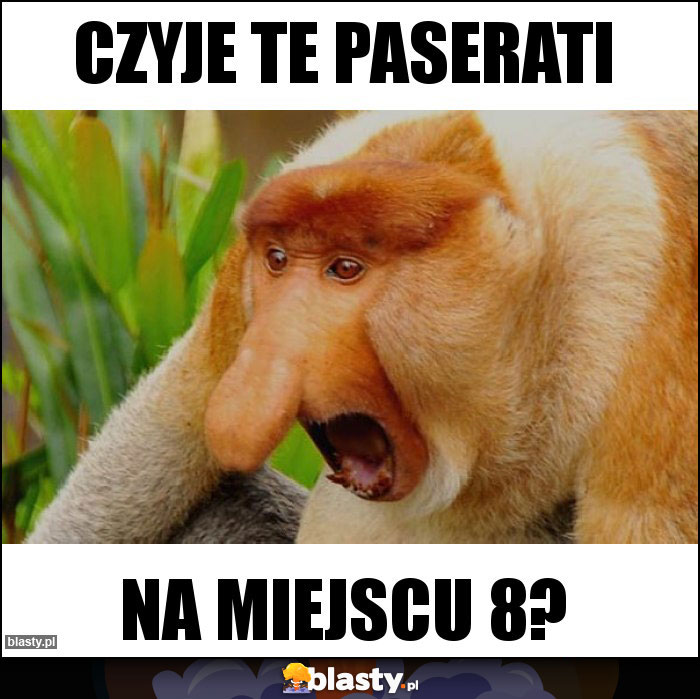 czyje te paserati