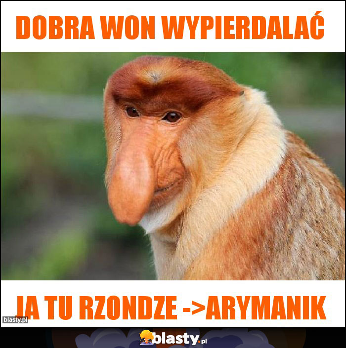 DOBRA WON WYPIERDALAĆ