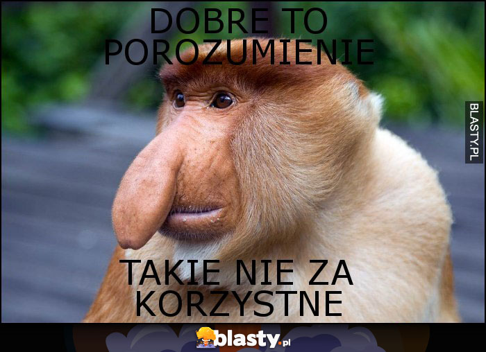 DOBRE TO POROZUMIENIE