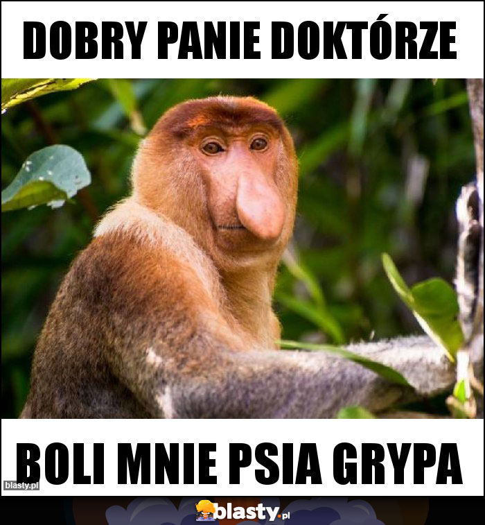 Dobry panie doktórze