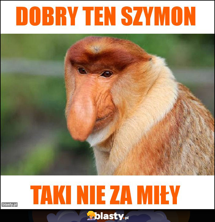 Dobry ten szymon