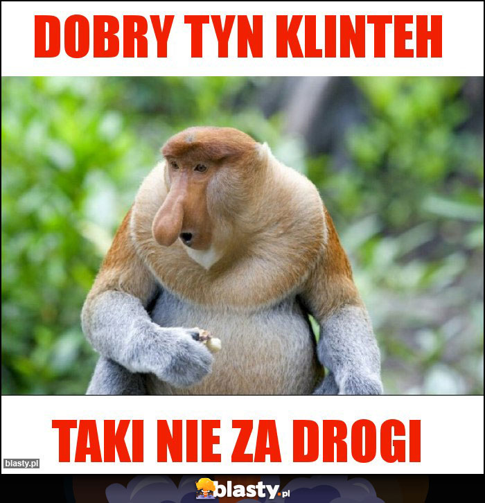 Dobry tyn klinteh