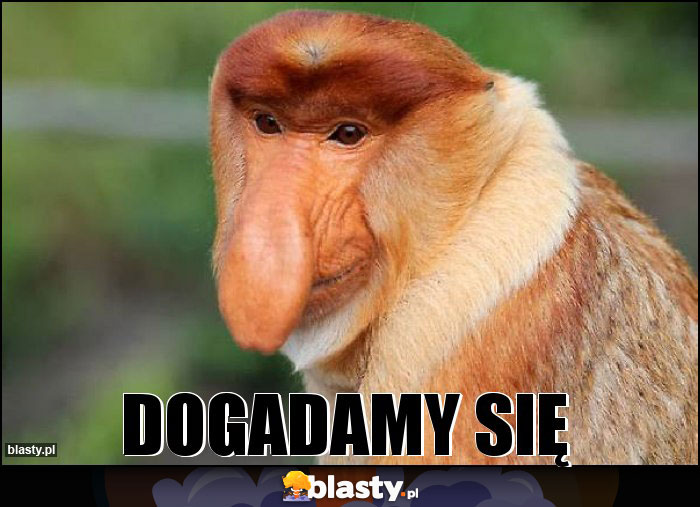 DOGADAMY SIĘ