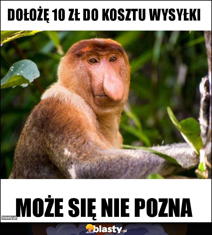 Dołożę 10 zł do kosztu wysyłki