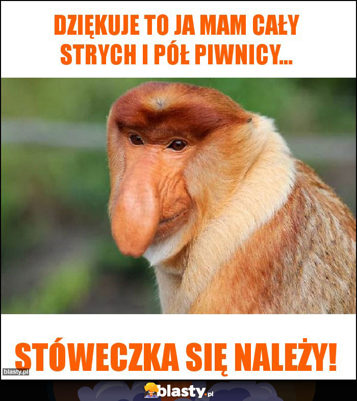 DZIĘKUJE TO JA MAM CAŁY STRYCH I PÓŁ Piwnicy...