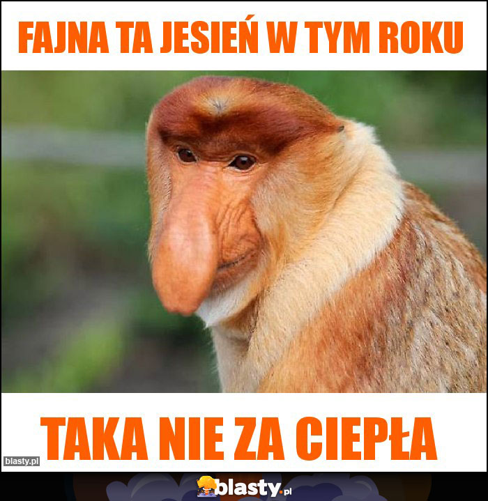 FAJNA TA JESIEŃ W TYM ROKU