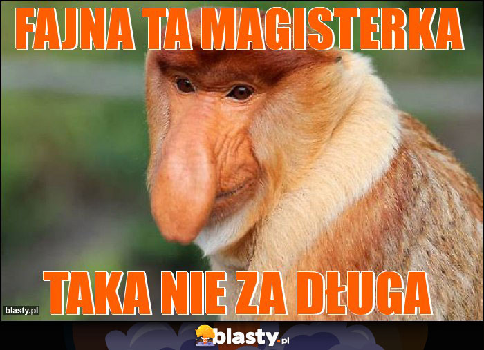 Fajna ta magisterka