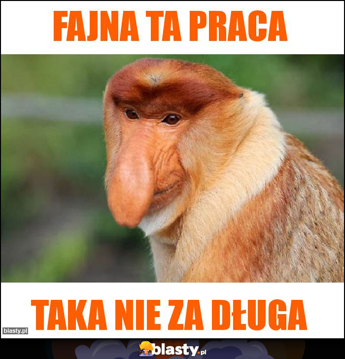 Fajna ta praca