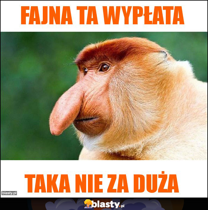 Fajna ta wypłata