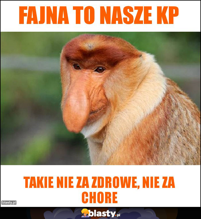 Fajna to nasze KP