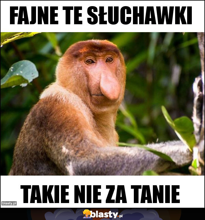 Fajne te słuchawki