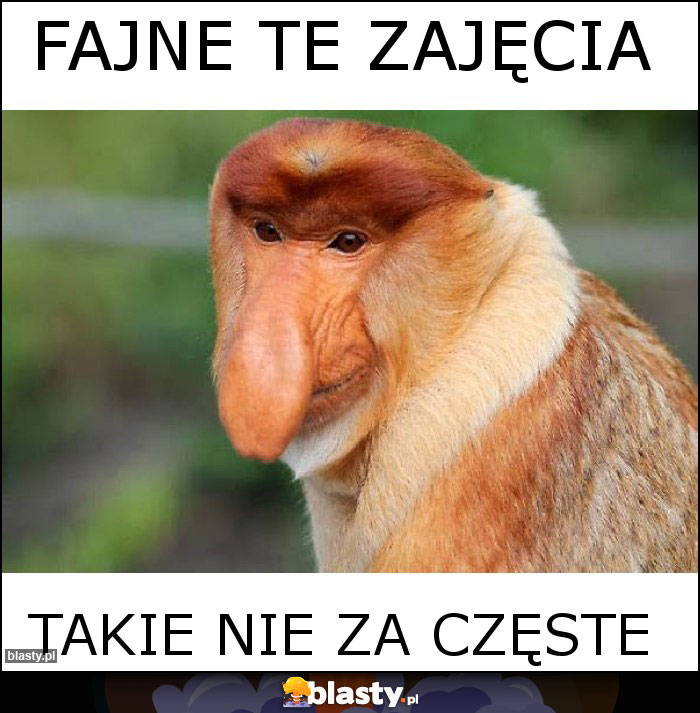 Fajne te zajęcia