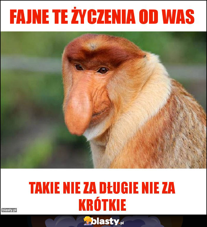 Fajne te życzenia od was