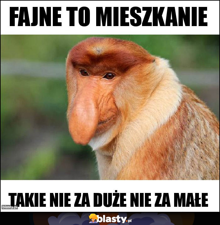 Fajne to mieszkanie