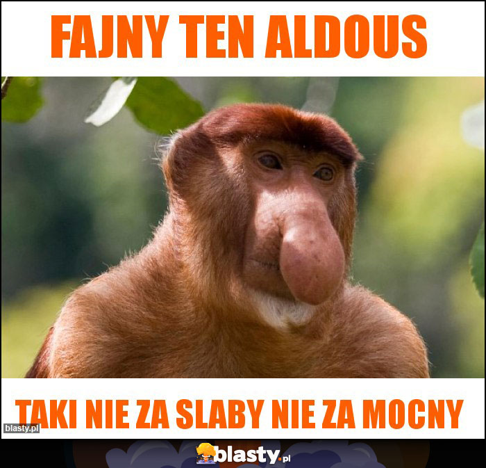 Fajny ten aldous