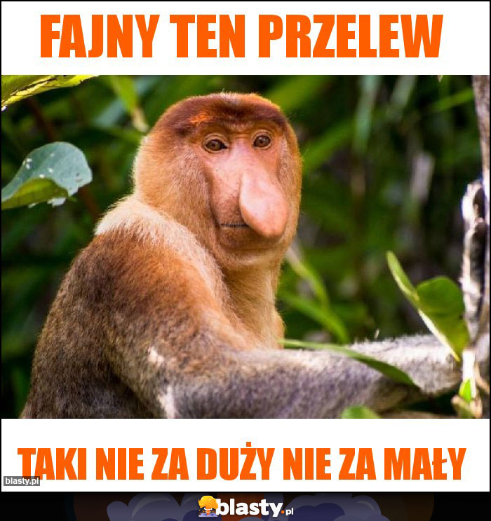 Fajny ten przelew