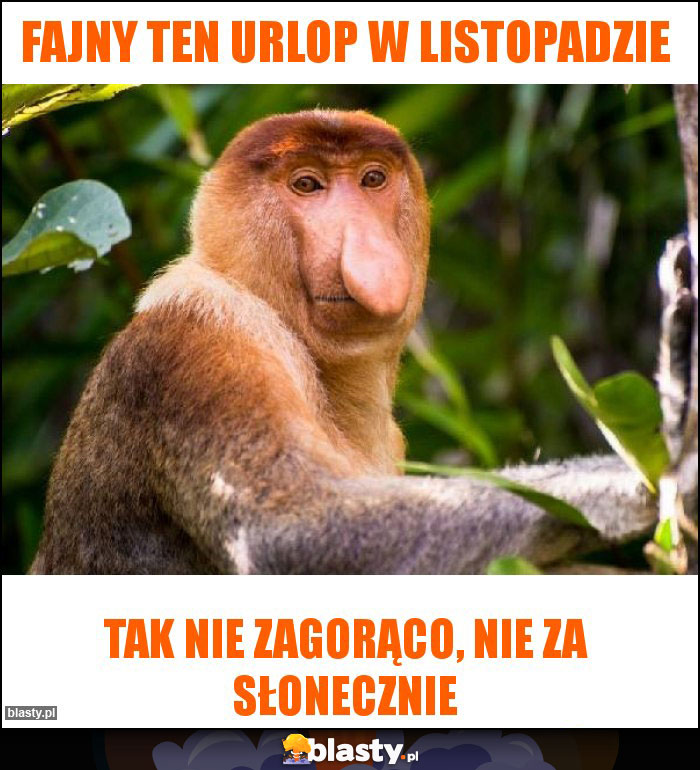 Fajny ten urlop w listopadzie