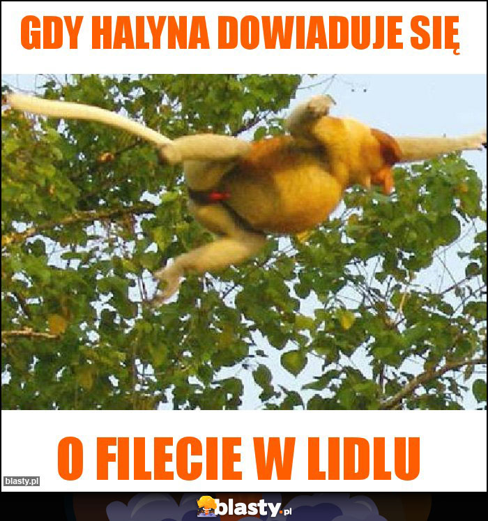 Gdy Halyna dowiaduje się