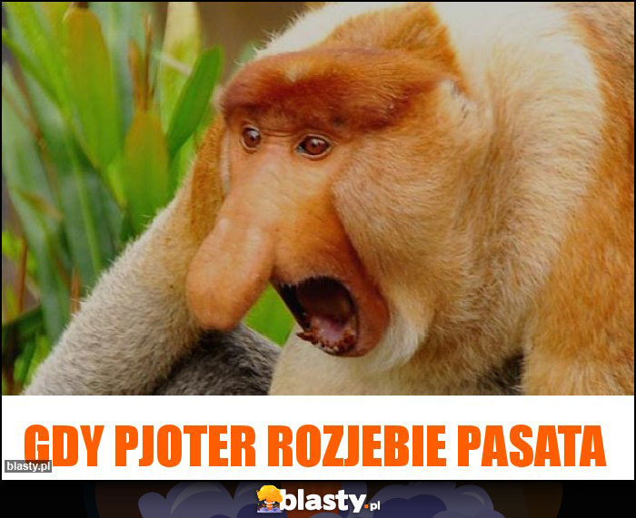 GDY PJOTER ROZJEBIE PASATA