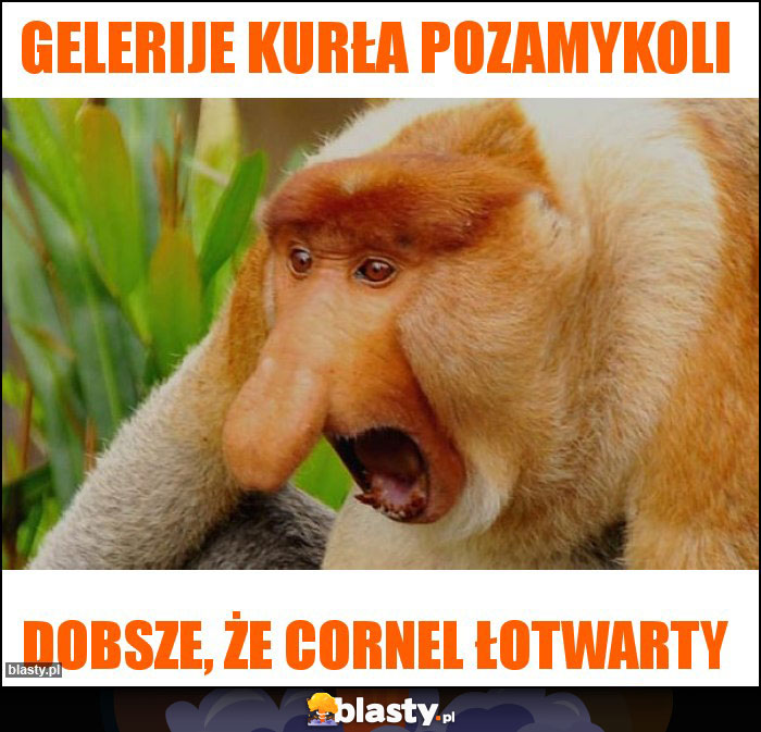 Gelerije kurła pozamykoli