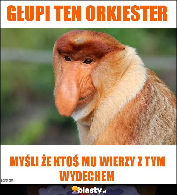 Głupi ten Orkiester