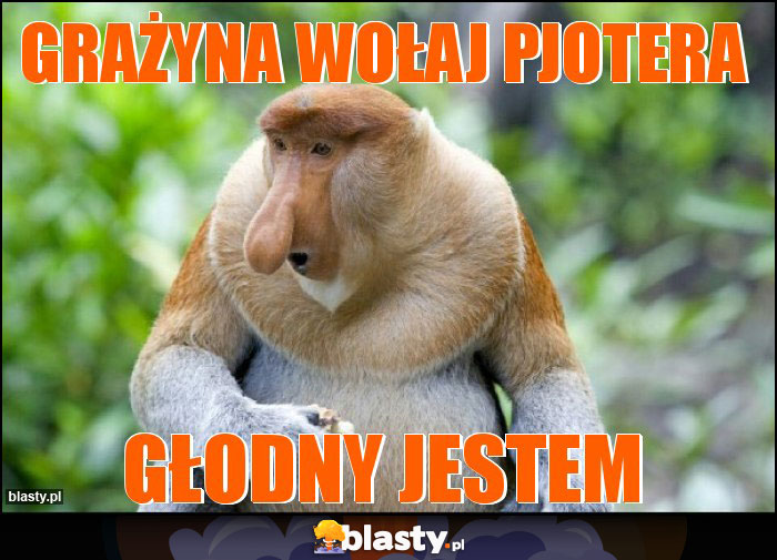 Grażyna wołaj pjotera