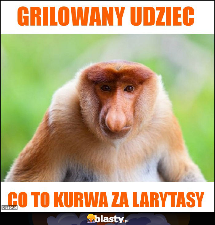 Grilowany udziec