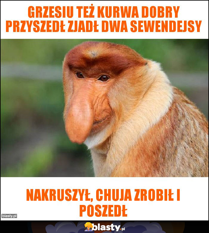 Grzesiu też kurwa dobry przyszedł zjadł dwa sewendejsy