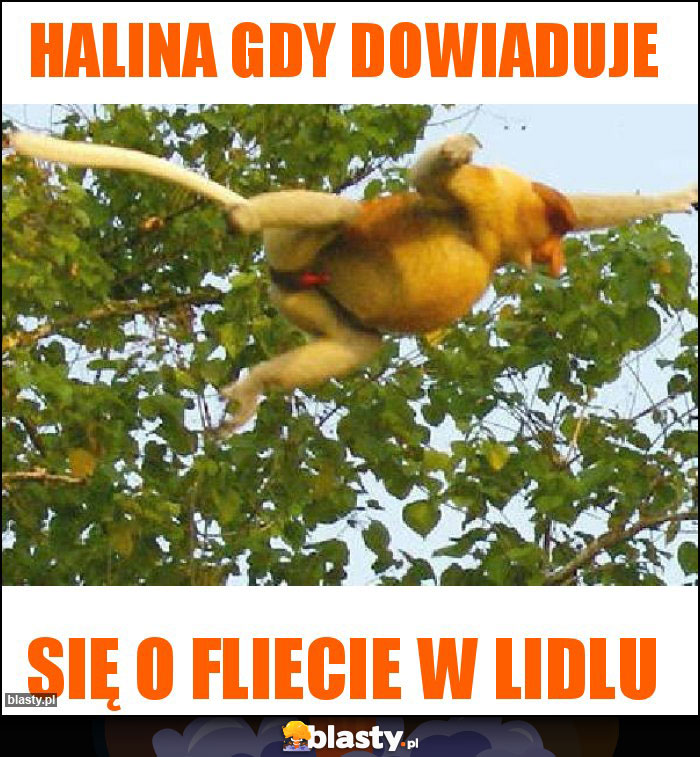 Halina gdy dowiaduje