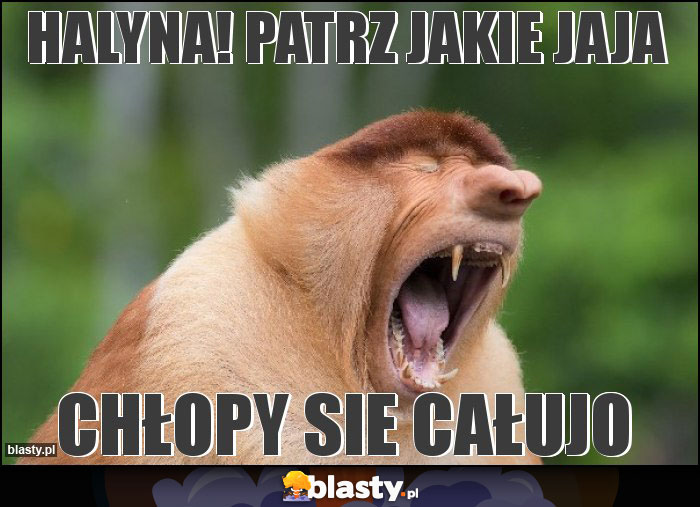 HALYNA! patrz jakie jaja