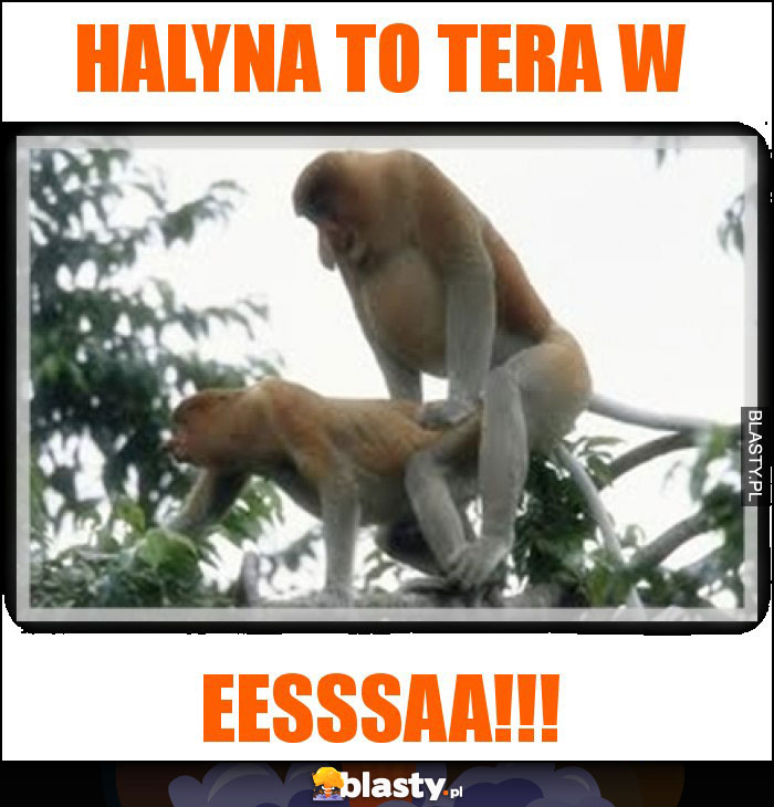 Halyna to tera w