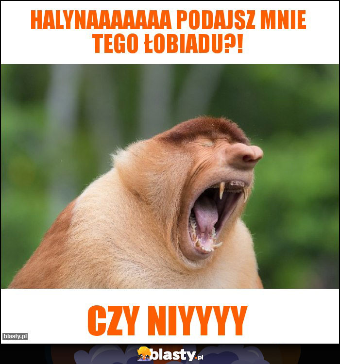 Halynaaaaaaa podajsz mnie tego łobiadu?!