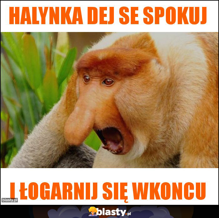 Halynka dej se spokuj