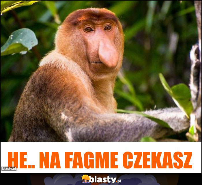 he.. na Fagme czekasz