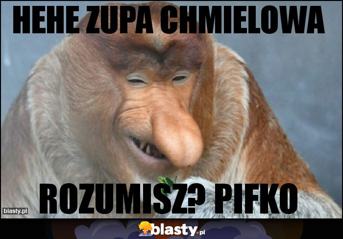 hehe zupa chmielowa