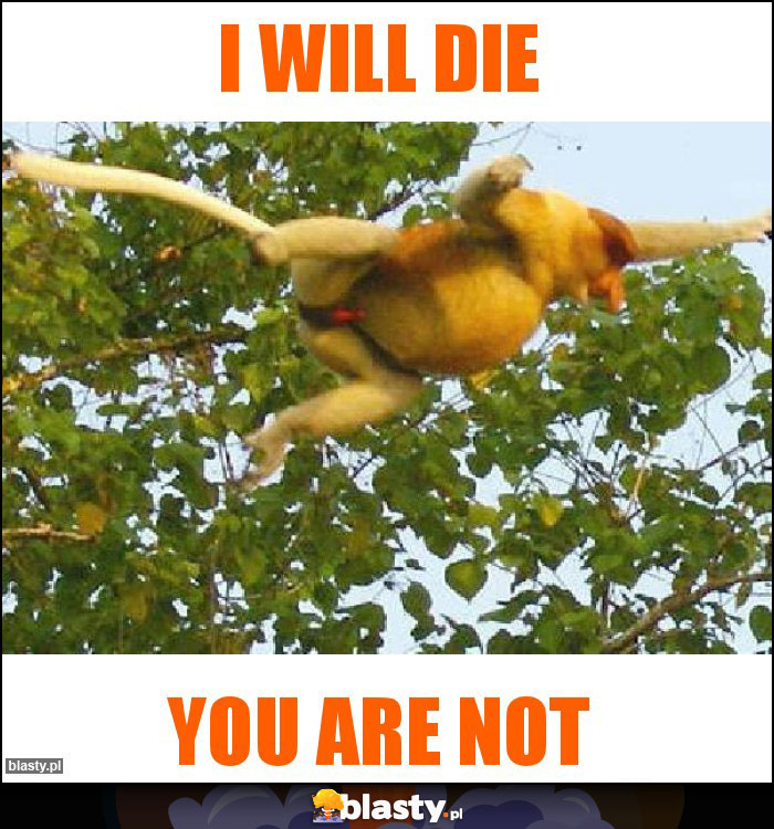 I WILL DIE