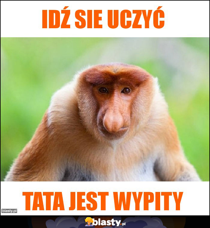 Idź sie uczyć