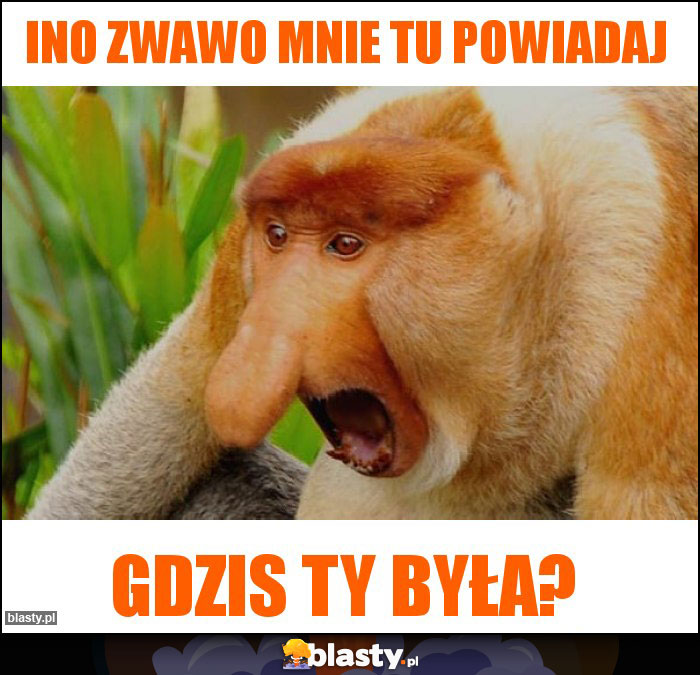 ino zwawo mnie tu powiadaj