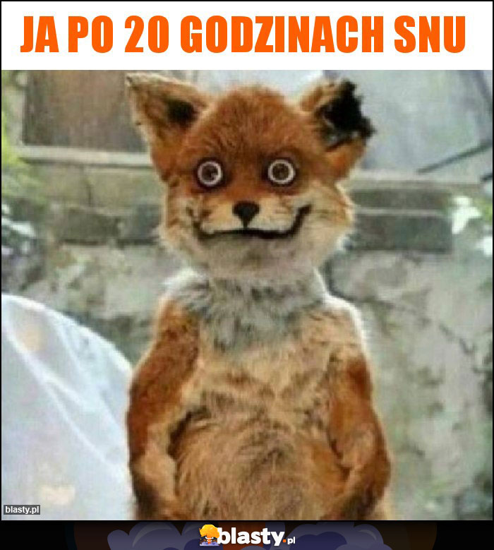 Ja po 20 godzinach snu