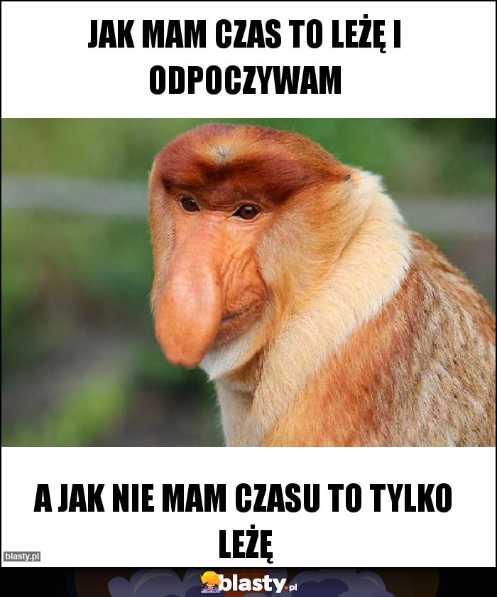 Jak mam czas to leżę i odpoczywam