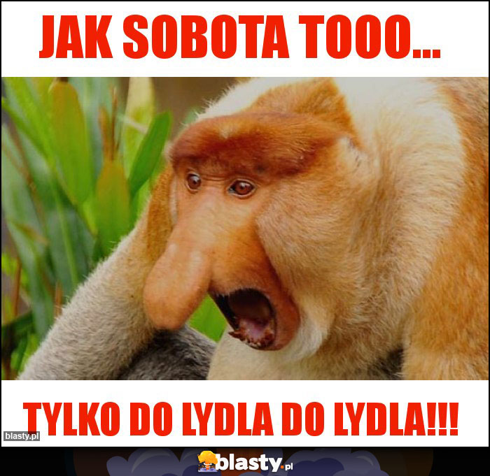 Jak sobota tooo...