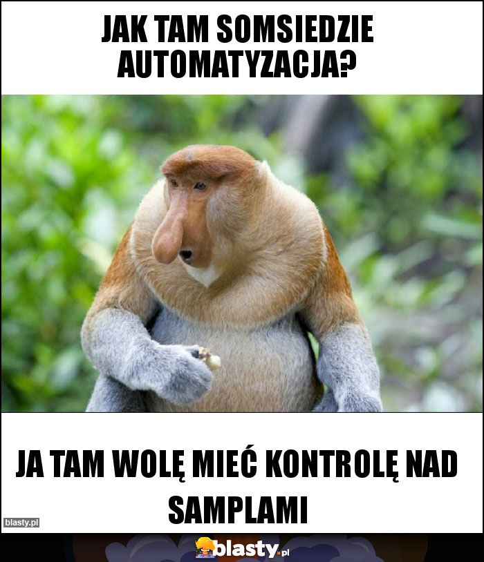 Jak tam somsiedzie automatyzacja?