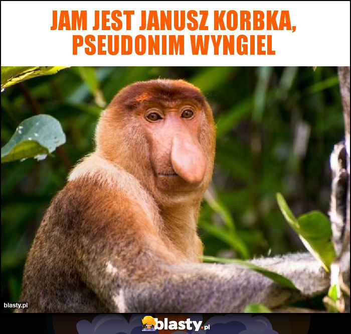 Jam jest Janusz korbka, pseudonim wyngiel