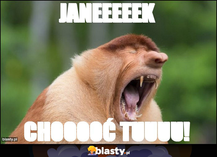 JANEEEEEK