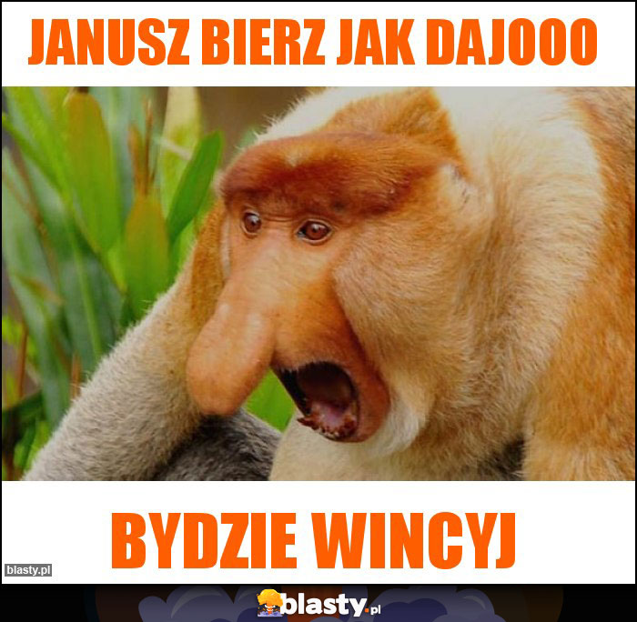 Janusz bierz jak dajooo