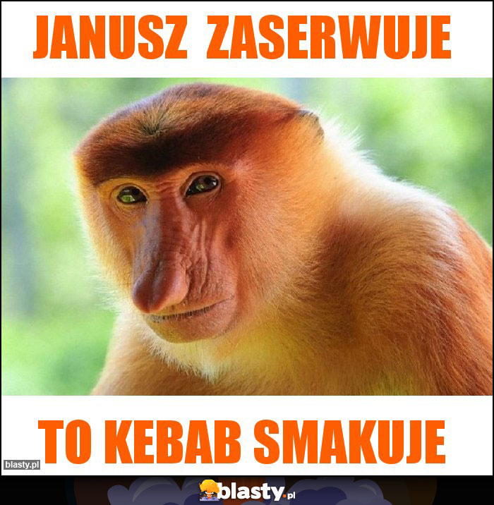 Janusz  zaserwuje