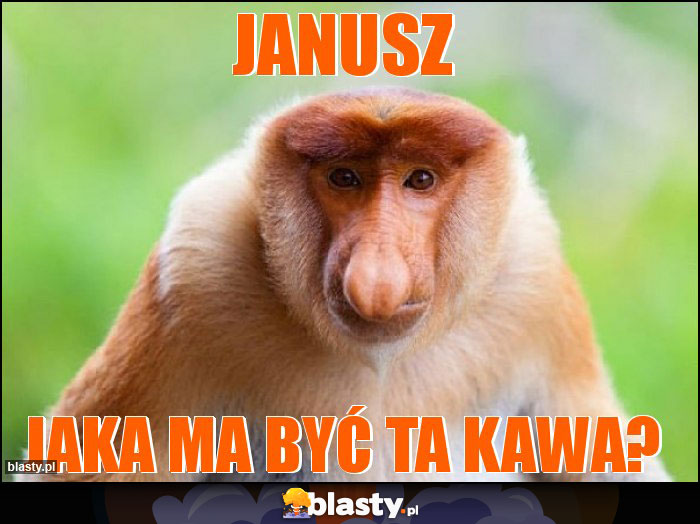 JANUSZ