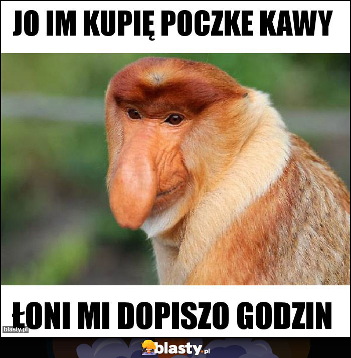 Jo im kupię poczke kawy