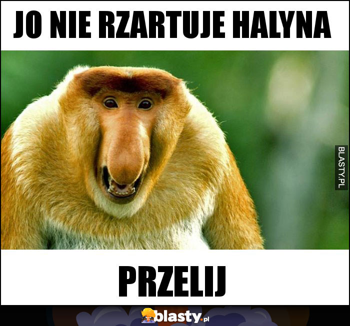 JO NIE RZARTUJE HALYNA