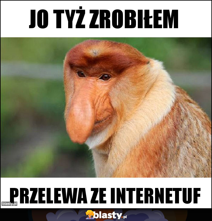 Jo tyż zrobiłem